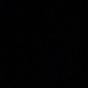 Meet your Posher, Hudson